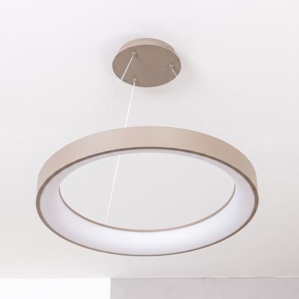 BRILAGI - Suspension LED dimmable sur câble FALCON II LED/99W/230V 3000-6500K Ø 60 cm beige + télécommande