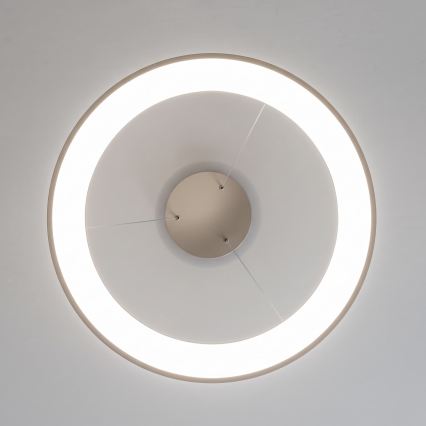 BRILAGI - Suspension LED dimmable sur câble FALCON II LED/99W/230V 3000-6500K Ø 60 cm beige + télécommande