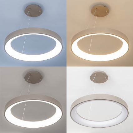 BRILAGI - Suspension LED dimmable sur câble FALCON II LED/99W/230V 3000-6500K Ø 60 cm beige + télécommande