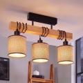 BRILAGI - Lustre plafonnier NUBILA 3xE27/60W/230V pin/marron