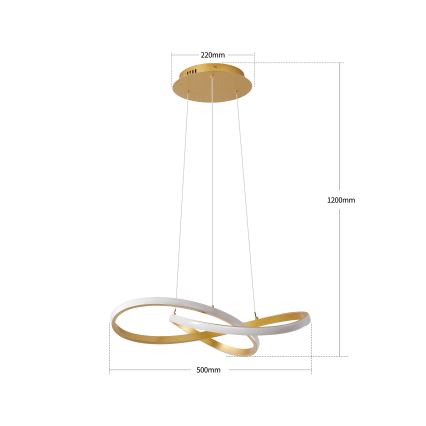 Brilagi - Suspension LED dimmable sur câble INFINITY LED/55W/230V 3000-6000K 50x50 cm dorée + télécommande