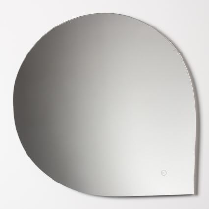 Brilagi - Miroir de salle de bains LED RICADI LED/19W/230V 60x60 cm IP44 IRC 90 dimmable + CCT