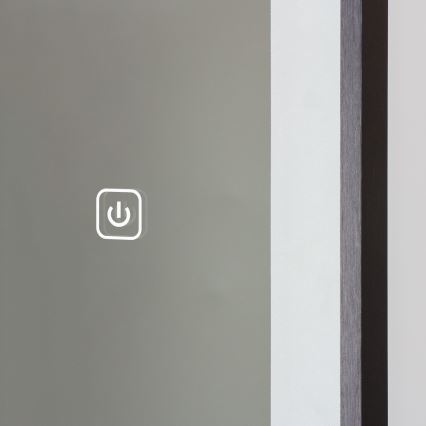 Brilagi - Miroir sur pied ELEGANZA LED/42W/230V 160x50 cm IP44 IRC 90 à intensité réglable + CCT