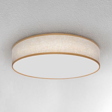 Brilagi - Plafonnier à intensité variable CARMEN LED/48W/230V 3000-6500K d. 40 cm + télécommande