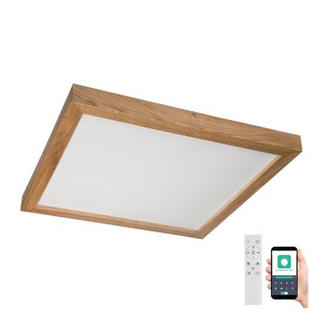 Brilagi - Plafonnier à intensité variable salle de bain WOODY FRAME LED/50W/230V chêne 60x60 cm 3000-6000K IP44 + télécommande