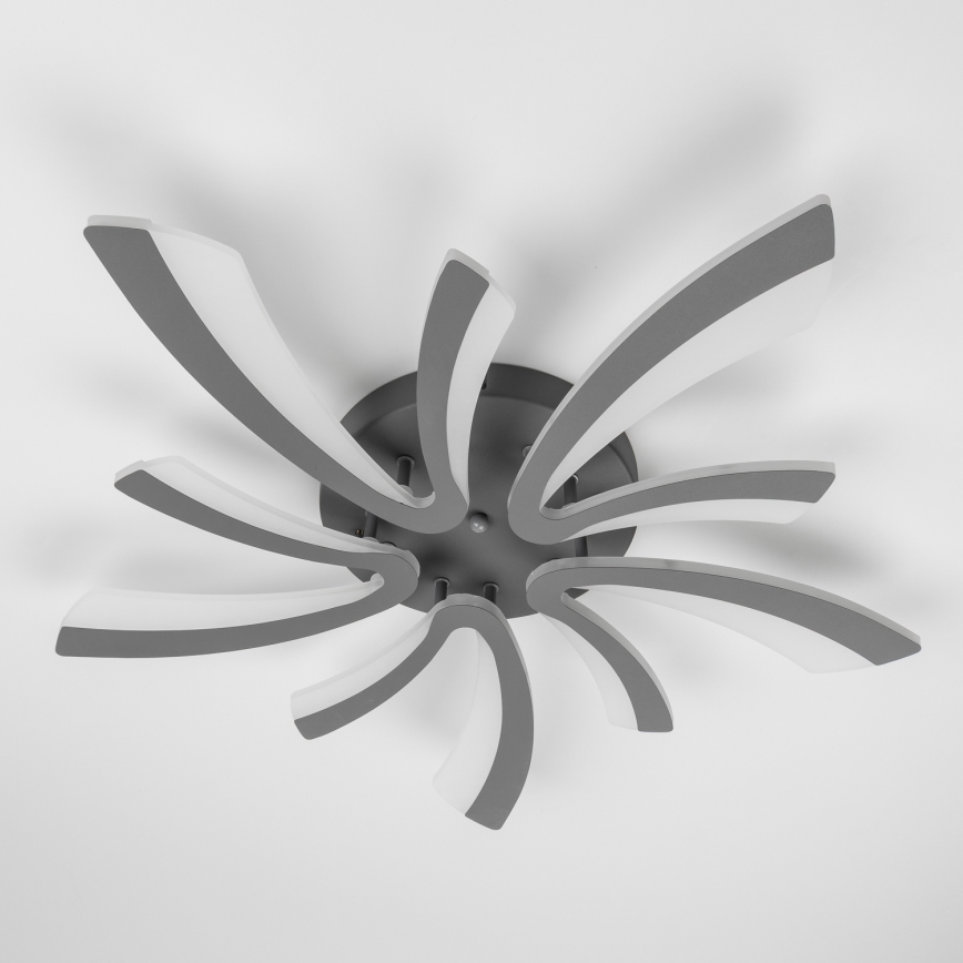 Brilagi - Plafonnier à intensité variable TWIST LED/55W/230V 3000-6500K anthracite + télécommande