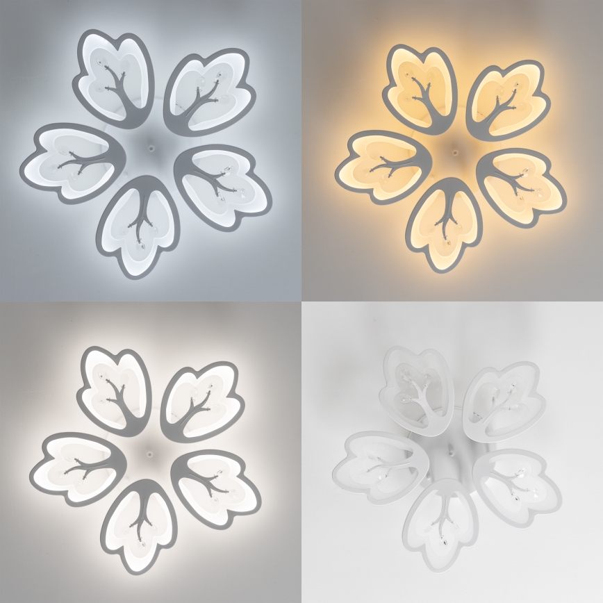 Brilagi - Plafonnier à intensité variable TWIST LED/80W/230V 3000-6500K blanc + télécommande