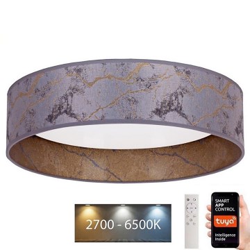 Brilagi - Plafonnier à intensité variable VELVET SMART LED/24W/230V d. 45 cm 2700-6500K Wi-Fi Tuya gris/doré + Télécommande