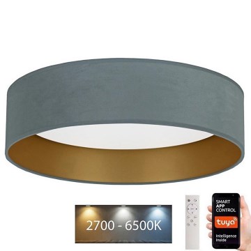 Brilagi - Plafonnier à intensité variable VELVET SMART LED/24W/230V d. 45 cm 2700-6500K Wi-Fi Tuya menthe/doré + Télécommande
