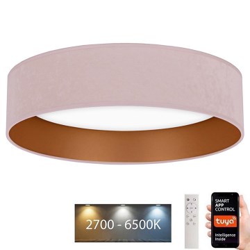 Brilagi - Plafonnier à intensité variable VELVET SMART LED/24W/230V d. 45 cm 2700-6500K Wi-Fi Tuya rose/doré + Télécommande