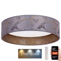 Brilagi - Plafonnier à intensité variable VELVET SMART LED/36W/230V d. 55 cm 2700-6500K Wi-Fi Tuya gris/doré + Télécommande