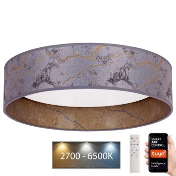 Brilagi - Plafonnier à intensité variable VELVET SMART LED/36W/230V d. 55 cm 2700-6500K Wi-Fi Tuya gris/doré + Télécommande