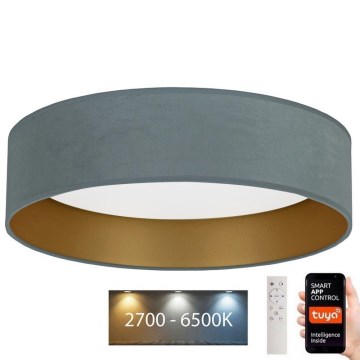 Brilagi - Plafonnier à intensité variable VELVET SMART LED/36W/230V d. 55 cm 2700-6500K Wi-Fi Tuya menthe/doré + Télécommande