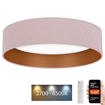 Brilagi - Plafonnier à intensité variable VELVET SMART LED/36W/230V d. 55 cm 2700-6500K Wi-Fi Tuya rose/doré + Télécommande