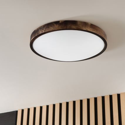 Brilagi - Plafonnier CARVALHO SLIM SMOKEY 3xE27/60W/230V chêne Ø 47,5 cm