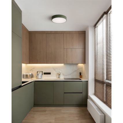 Brilagi - Plafonnier CLARE 2xE27/24W/230V Ø 30 cm kaki