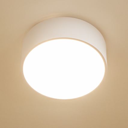 Brilagi - Plafonnier de salle de bains POOL 2xE27/15W/230V Ø 30 cm IP54 blanc