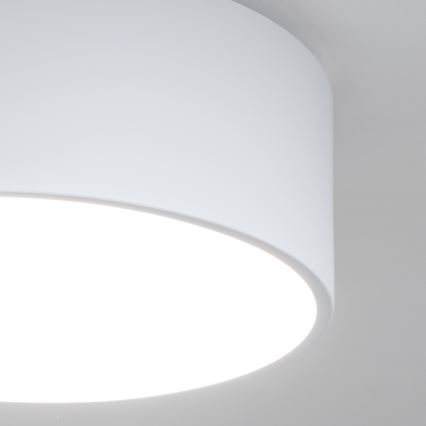 Brilagi - Plafonnier de salle de bains POOL 2xE27/15W/230V Ø 30 cm IP54 blanc