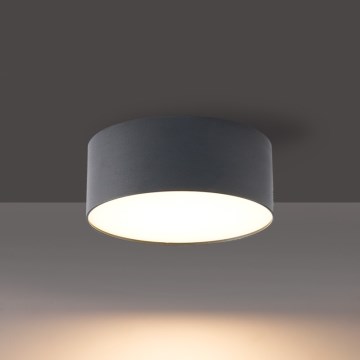 BRILAGI - plafonnier d'extérieur à LED FORIS LED/9W/230V Ø 9 cm anthracite IP44