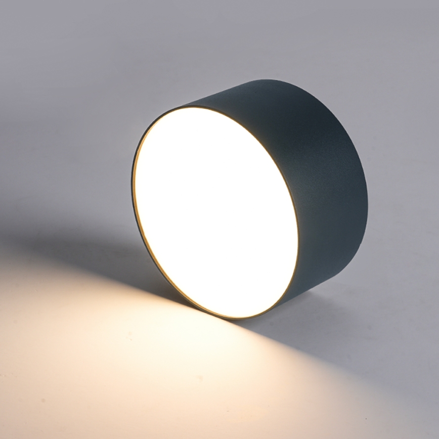 BRILAGI - Plafonnier extérieur LED FORIS LED/20W/230V pr. 15 cm antracit IP44