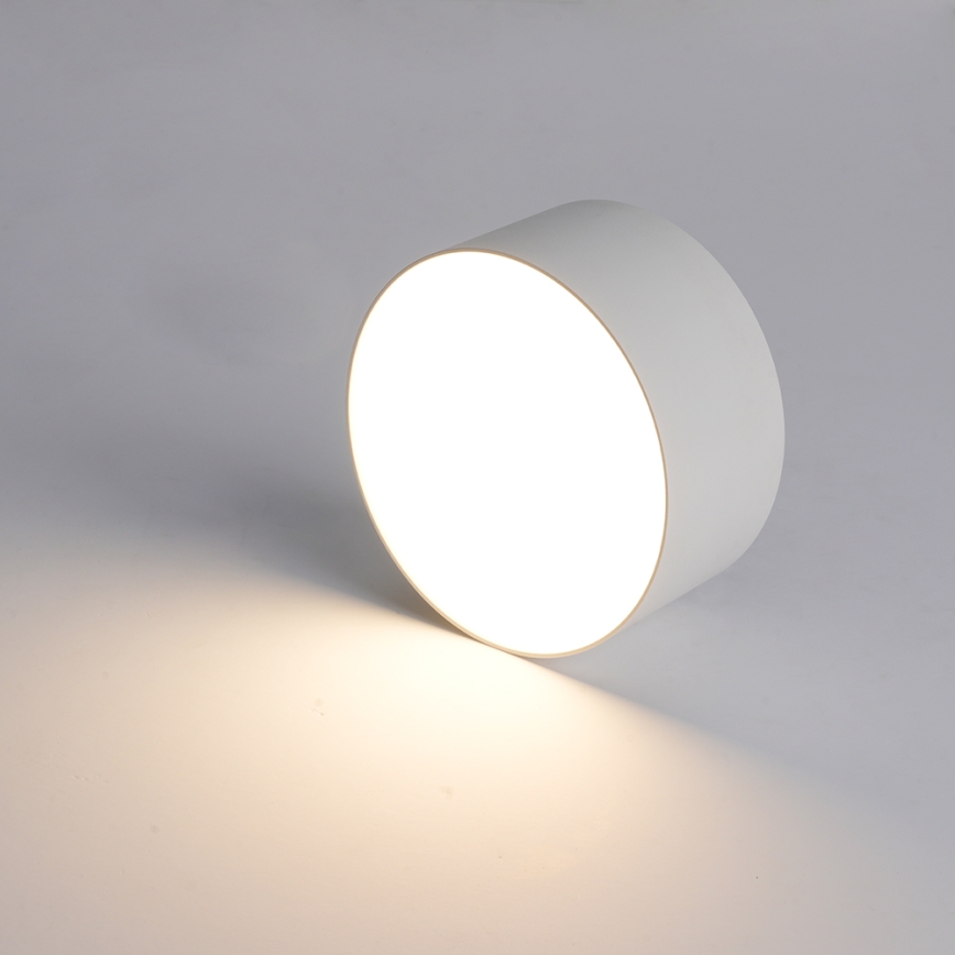 BRILAGI - Plafonnier d'extérieur LED FORIS LED/20W/230V Ø 15 cm blanc IP44