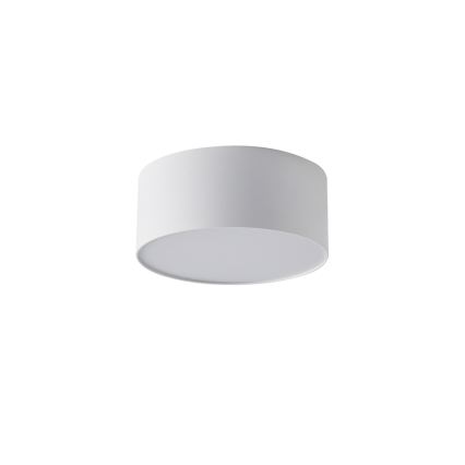 BRILAGI - Plafonnier d'extérieur LED FORIS LED/20W/230V Ø 15 cm blanc IP44