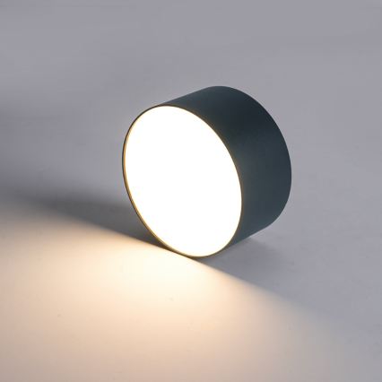 BRILAGI - plafonnier d'extérieur à LED FORIS LED/9W/230V Ø 9 cm anthracite IP44