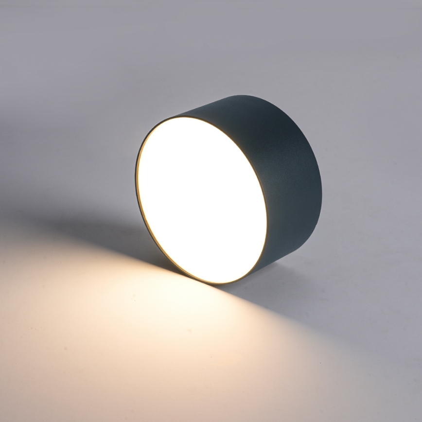 BRILAGI - plafonnier d'extérieur à LED FORIS LED/9W/230V Ø 9 cm anthracite IP44