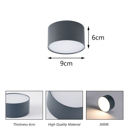 BRILAGI - plafonnier d'extérieur à LED FORIS LED/9W/230V Ø 9 cm anthracite IP44