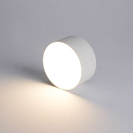 BRILAGI - Plafonnier d'extérieur LED FORIS LED/9W/230V Ø 9 cm blanc IP44