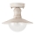 Brilagi - Plafonnier d'extérieur MOLDE 1xE27/60W IP44 blanc/patine