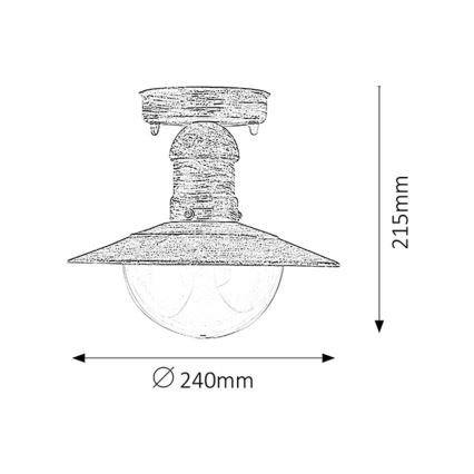 Brilagi - Plafonnier d'extérieur MOLDE 1xE27/60W IP44 blanc/patine