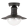 Brilagi - Plafonnier d'extérieur MOLDE 1xE27/60W IP44 noir