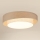 Brilagi - Plafonnier DOVER SHINE LED/26W/230V d. 60 cm gris/crème