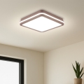 Brilagi - Plafonnier extérieur LED avec capteur BENE LED/24W/230V 26 x 26 cm brun IP54