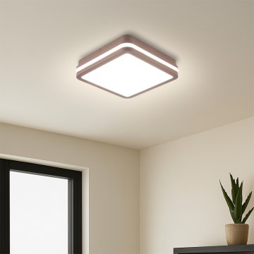 Brilagi - Plafonnier extérieur LED BENE LED/18W/230V 21,5x21,5 cm marron IP54