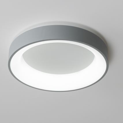 Brilagi - Plafonnier LED à intensité variable FALCON LED/40W/230V 3000-6500K gris + télécommande