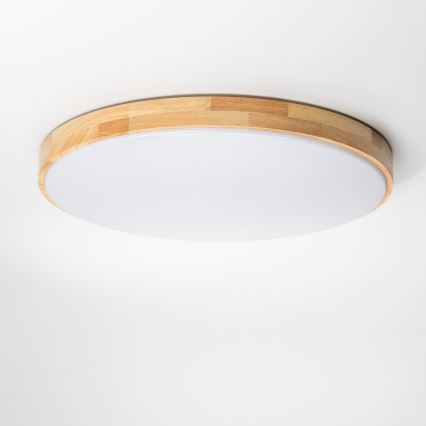 Brilagi - Plafonnier LED à intensité variable PINE LED/60W/230V + télécommande