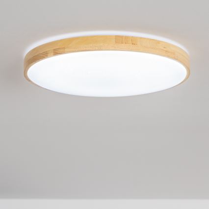 Brilagi - Plafonnier LED à intensité variable PINE LED/60W/230V + télécommande
