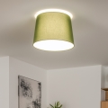 Brilagi - Plafonnier LED CERIA 1xE27/40W/230V Ø 30 cm vert