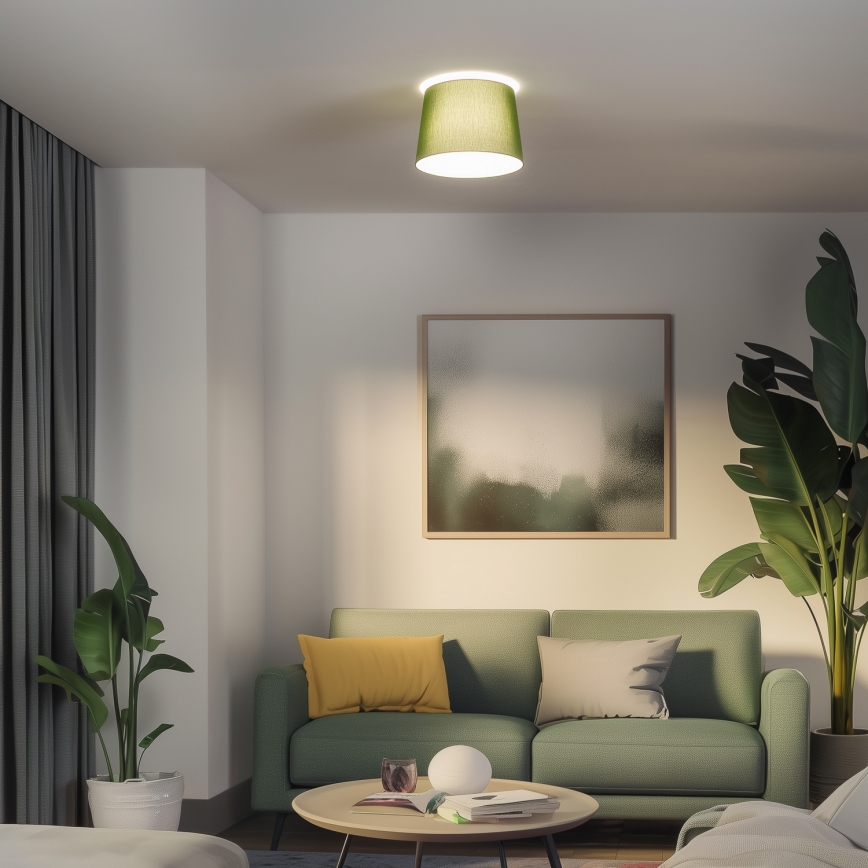 Brilagi - Plafonnier LED CERIA 1xE27/40W/230V Ø 30 cm vert