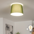 Brilagi - Plafonnier LED CERIA 1xE27/40W/230V Ø 30 cm vert