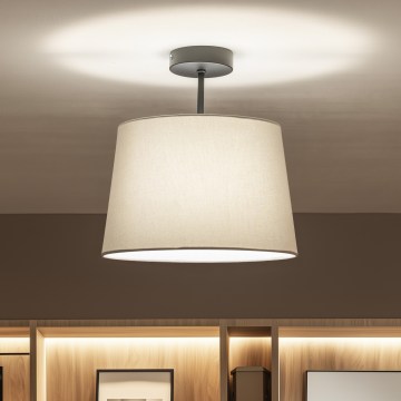 Brilagi - Plafonnier LED CERIA 1xE27/60W/230V Ø 30 cm noir/gris