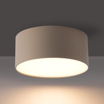 BRILAGI - Plafonnier LED d'extérieur FORIS LED/14W/230V Ø 12 cm beige IP44
