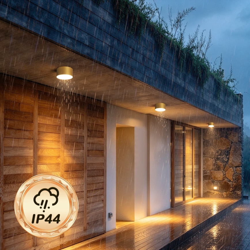 BRILAGI - Plafonnier LED d'extérieur FORIS LED/14W/230V Ø 12 cm doré IP44