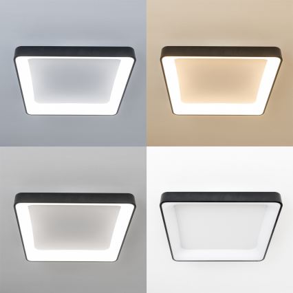 Brilagi - Plafonnier LED dimmable FALCON II LED/125W/230V 3000-6500K 60x60 cm noir + télécommande