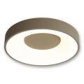 BRILAGI - Plafonnier LED dimmable FALCON II LED/67W/230V 3000-6500K Ø 40 cm beige + télécommande