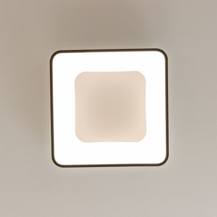 Brilagi - Plafonnier LED dimmable FALCON II 80W 230V 3000-6500K 40x40 cm noir + télécommande