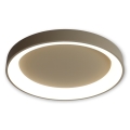 BRILAGI - Plafonnier LED dimmable FALCON II LED/99W/230V 3000-6500K Ø 60 cm beige + télécommande