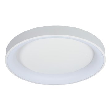 Brilagi - Plafonnier LED dimmable FALCON II LED/99W/230V 3000-6500K Ø 60 cm blanc + télécommande